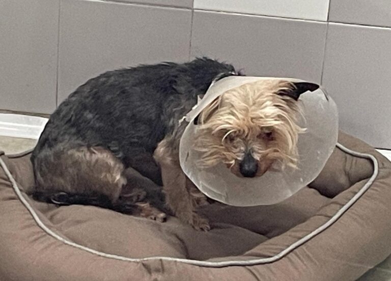 multimedia-foto88917-671-1