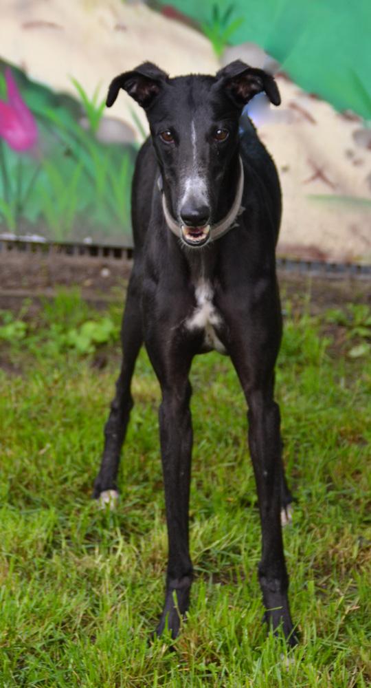 multimedia-foto88929-918-1