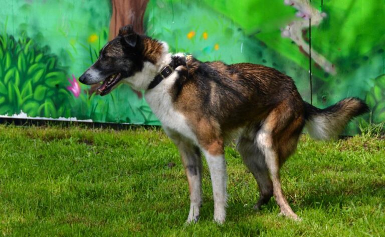 multimedia-foto88944-122-1