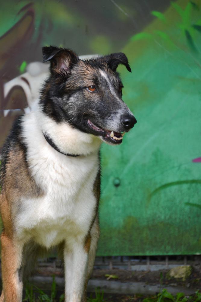 multimedia-foto88945-123-1