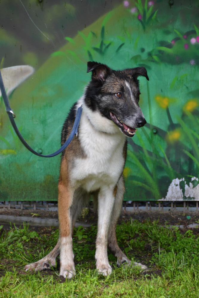 multimedia-foto88946-123-1