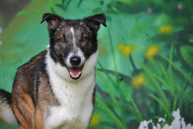 multimedia-foto88948-123-1