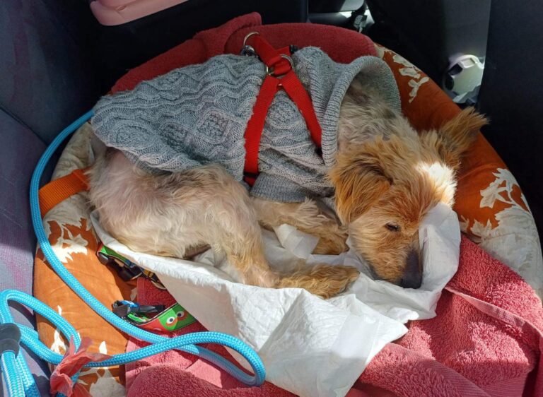 multimedia-foto89007-499-1