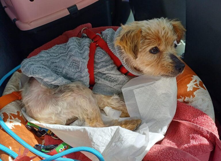 multimedia-foto89013-500-1