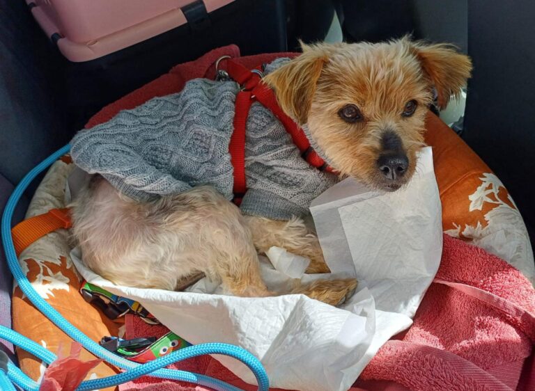 multimedia-foto89014-500-1