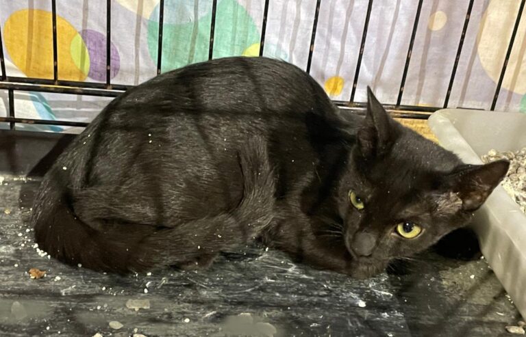 multimedia-foto89193-109-1