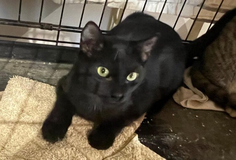 multimedia-foto89195-109-1