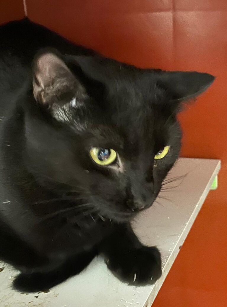 multimedia-foto89200-139-1