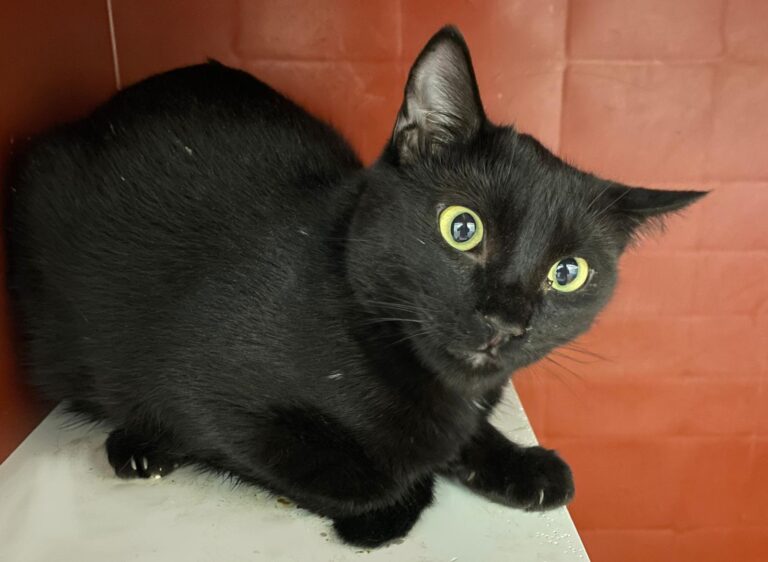 multimedia-foto89201-139-1