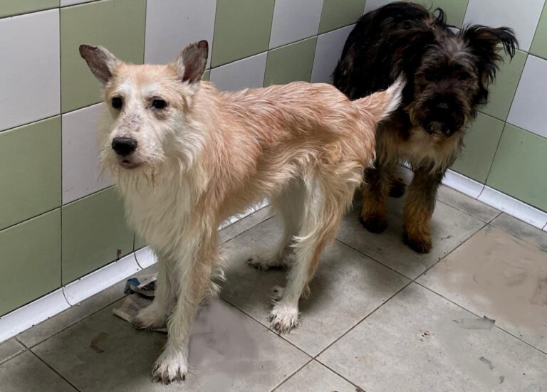 multimedia-foto89208-884-1