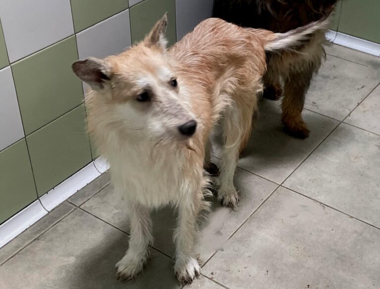 multimedia-foto89209-884-1