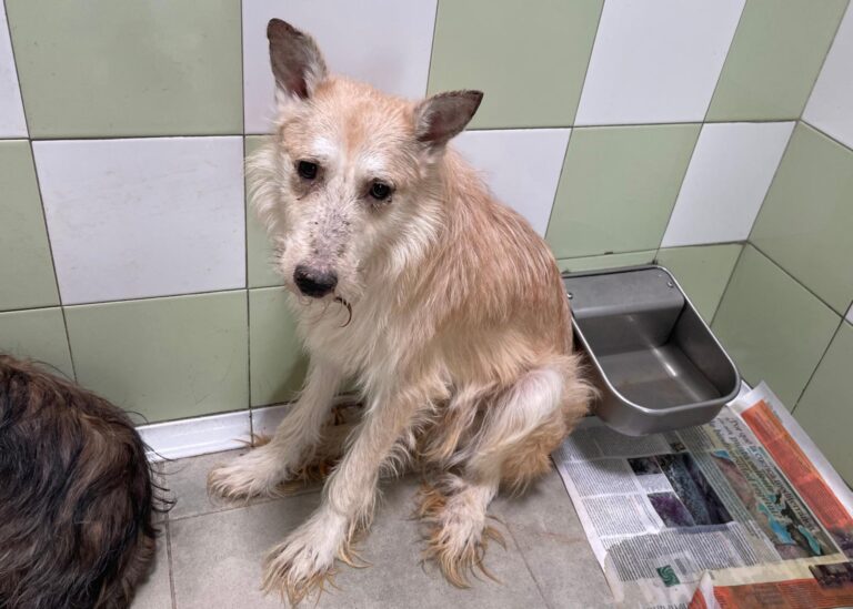 multimedia-foto89210-884-1