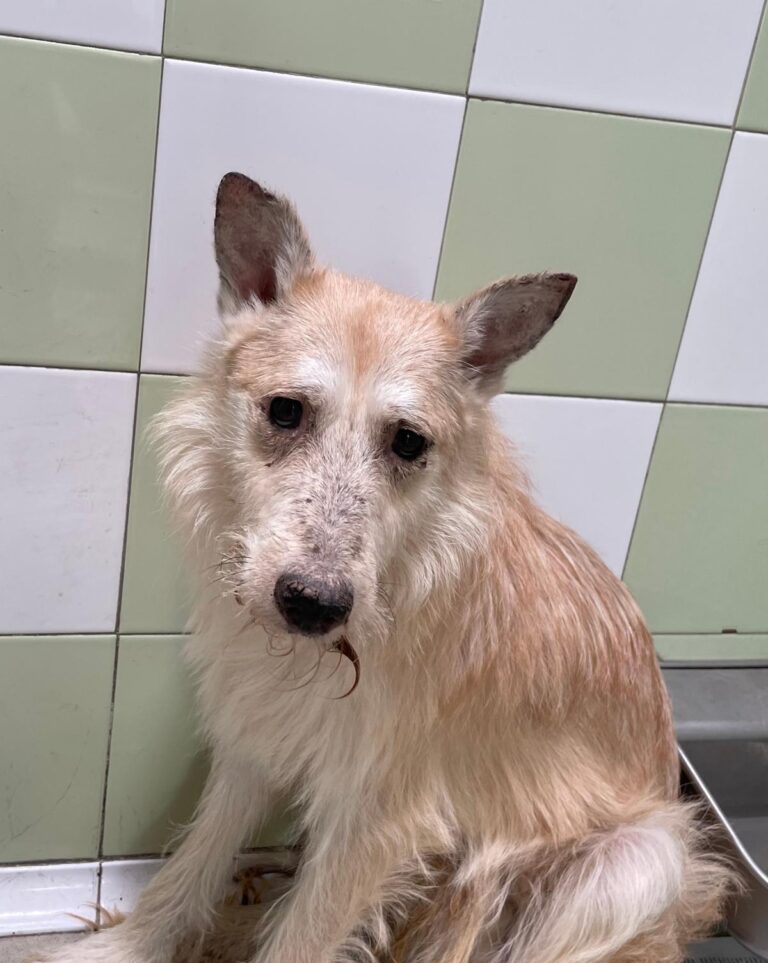 multimedia-foto89211-884-1