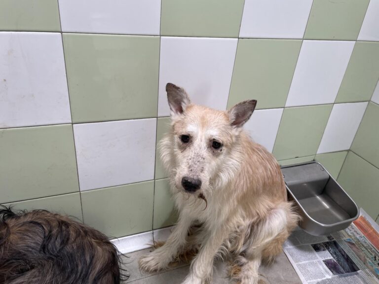 multimedia-foto89212-885-1