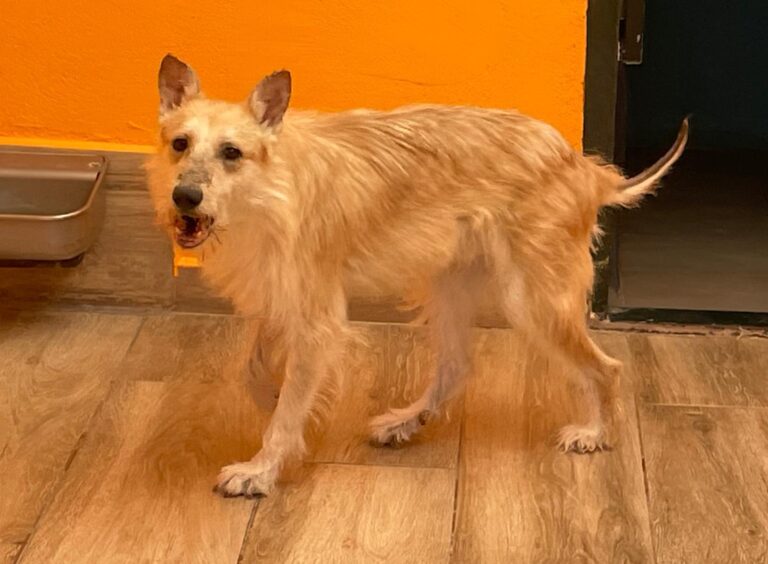 multimedia-foto89213-885-1