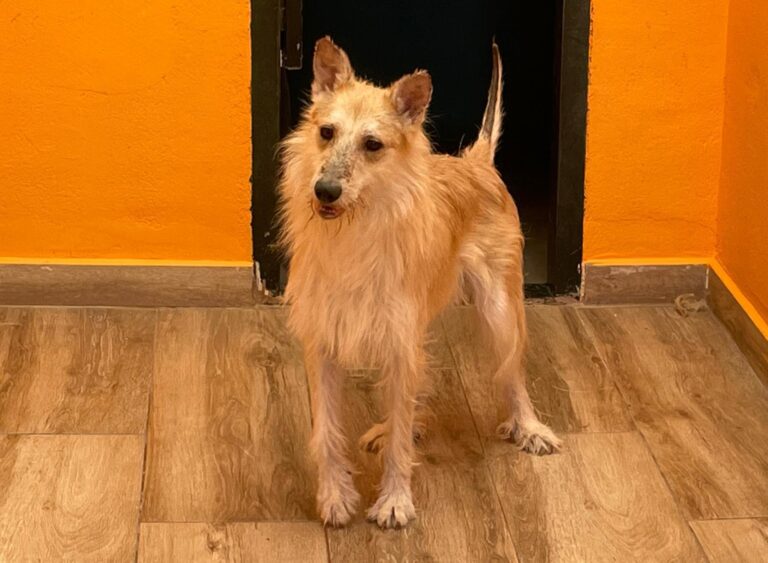 multimedia-foto89214-885-1