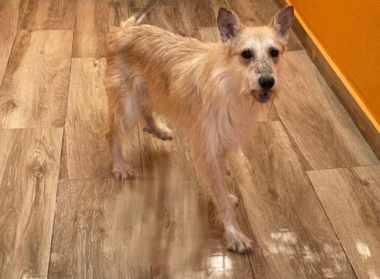 multimedia-foto89215-885-1