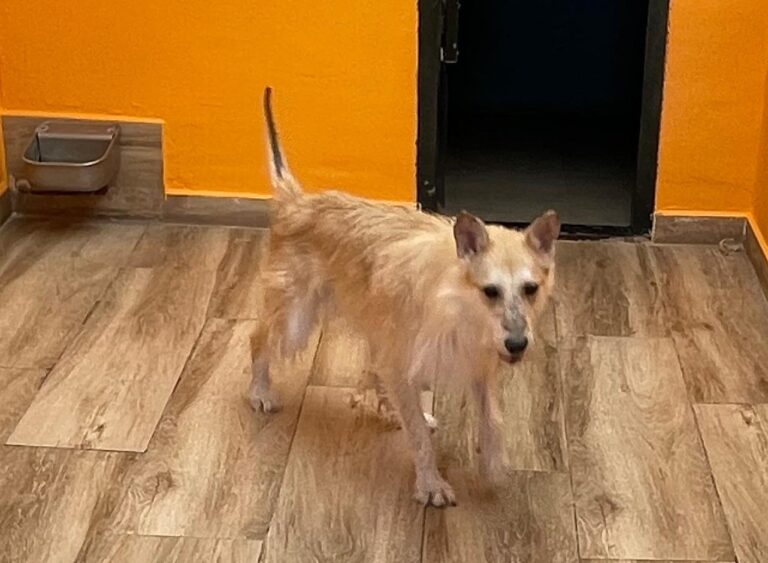 multimedia-foto89217-886-1