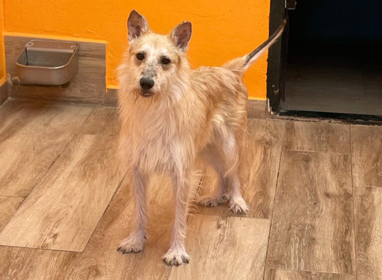 multimedia-foto89218-886-1