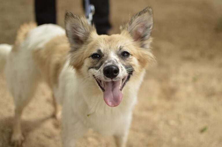 multimedia-foto89239-710-1