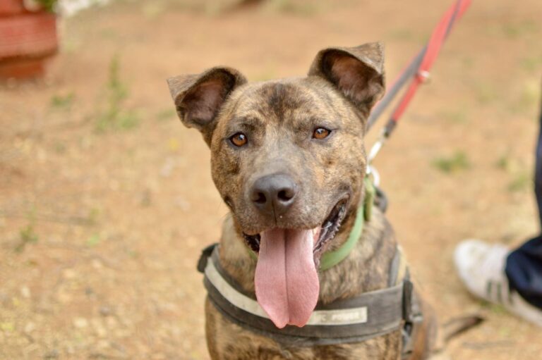 multimedia-foto89272-905-1