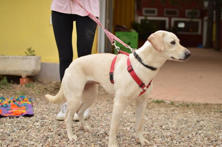 multimedia-foto89363-355-1