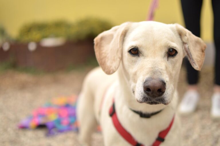 multimedia-foto89364-356-1