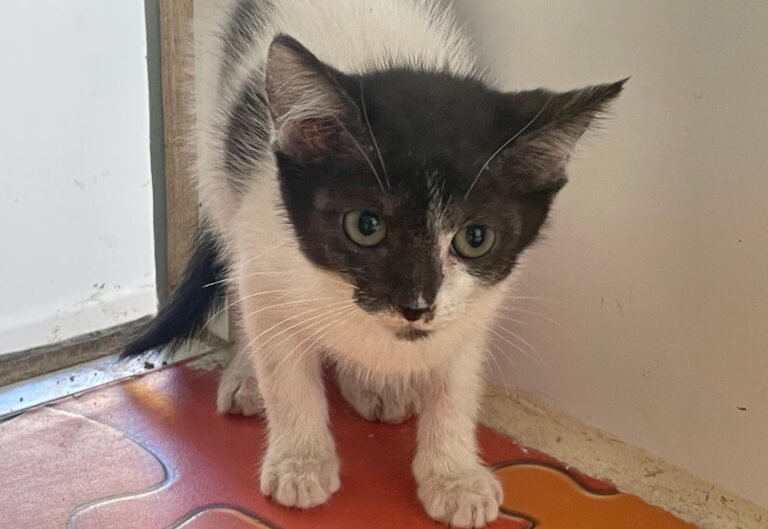 multimedia-foto89402-718-1