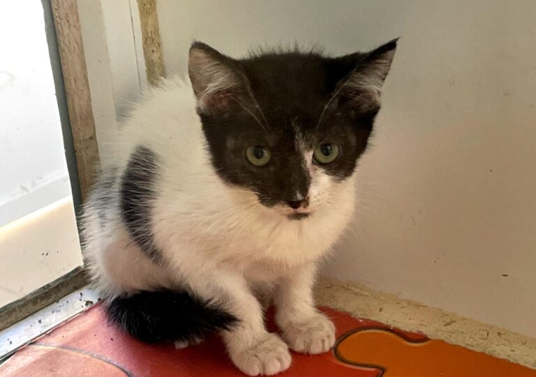 multimedia-foto89403-718-1