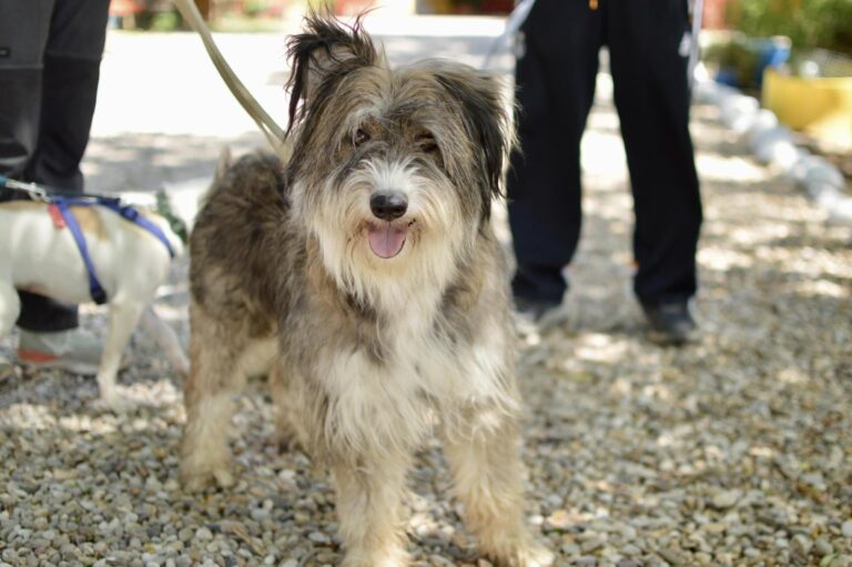 multimedia-foto89437-223-1