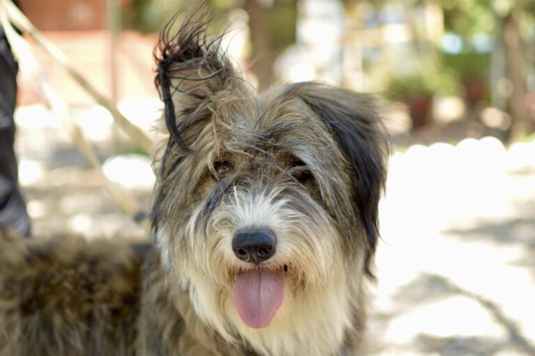 multimedia-foto89438-224-1