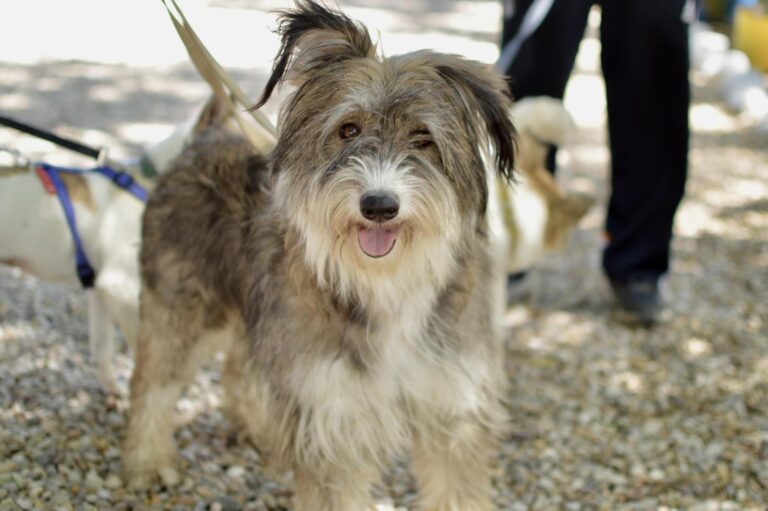 multimedia-foto89439-224-1