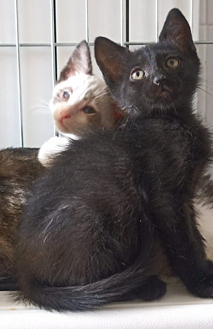 multimedia-foto89473-880-1