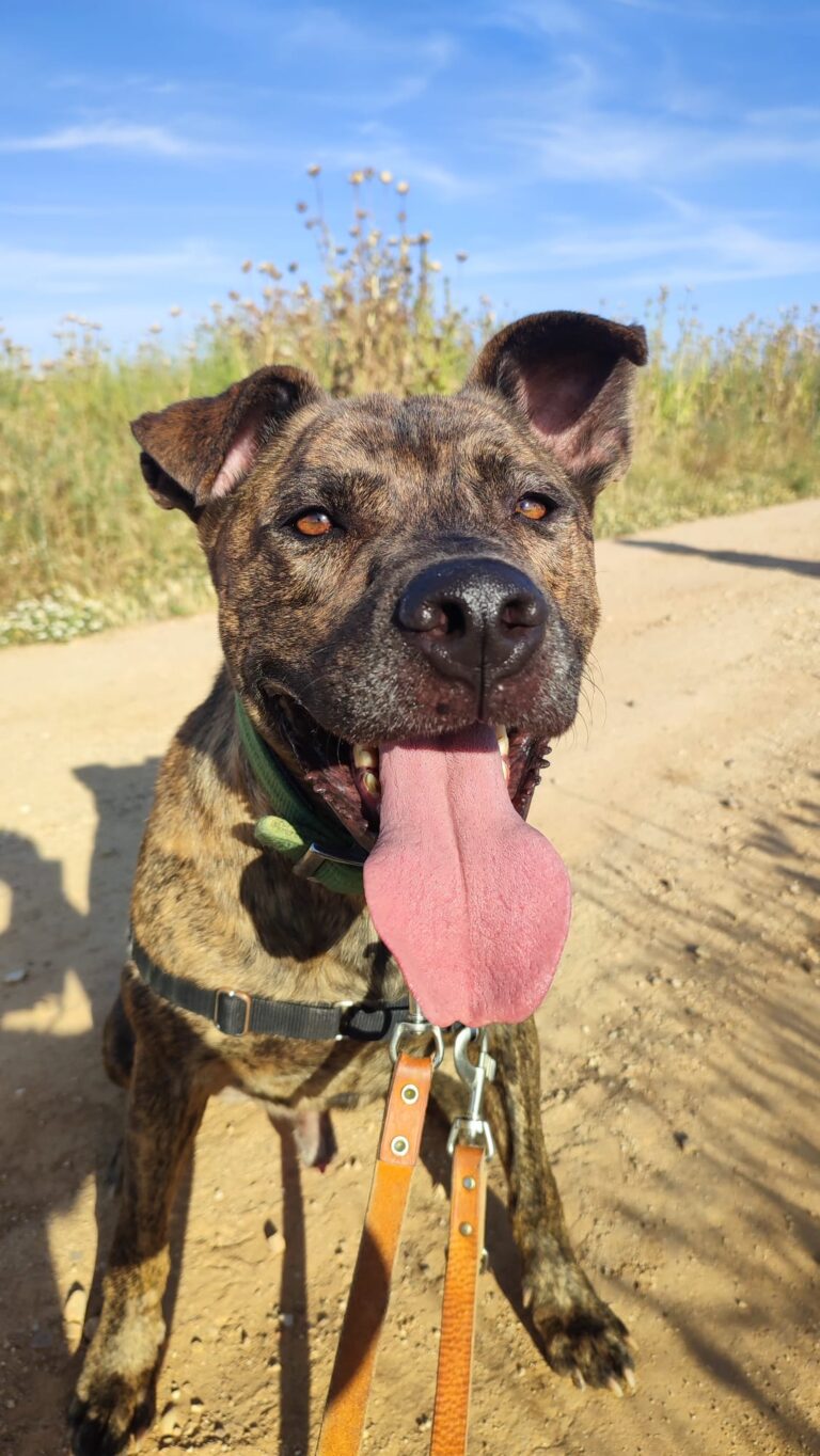 multimedia-foto89474-897-1