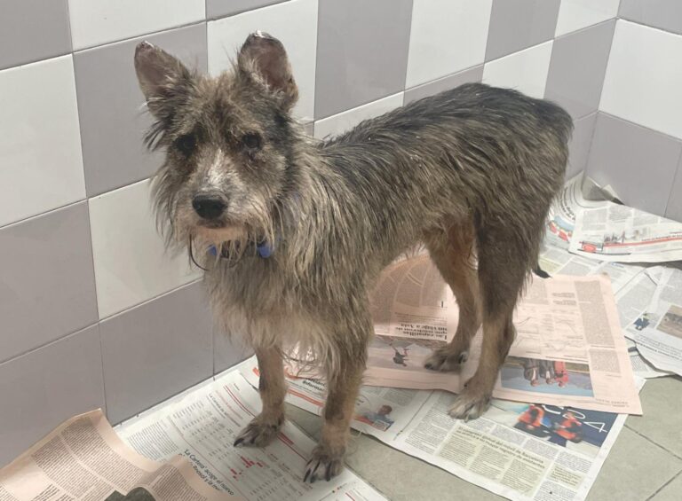 multimedia-foto89484-847-1