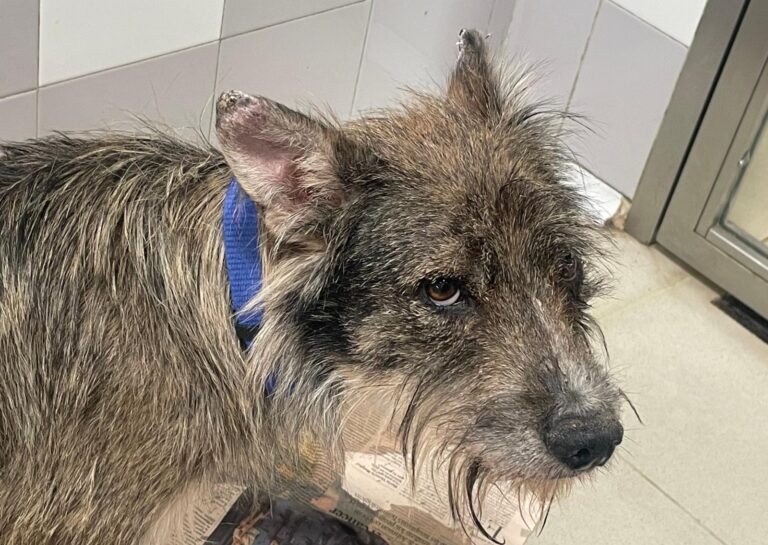 multimedia-foto89485-847-1