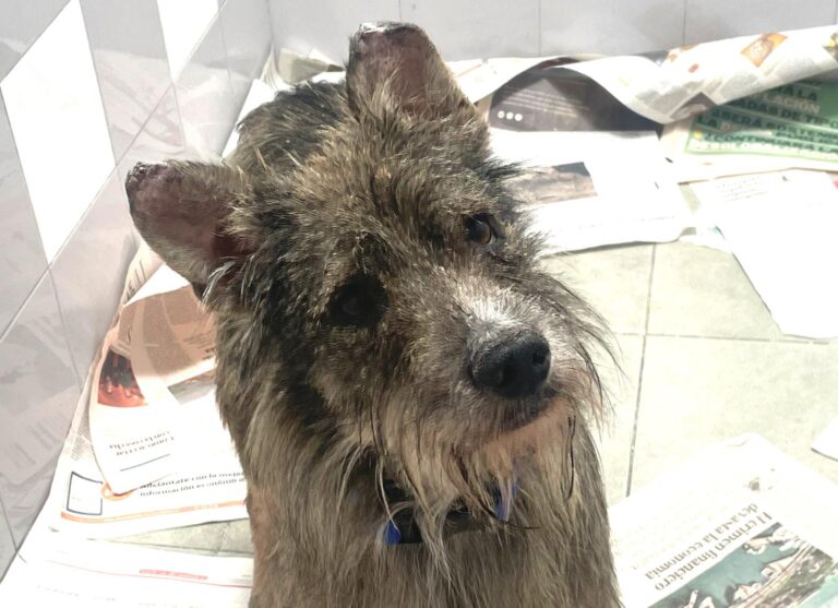 multimedia-foto89486-847-1