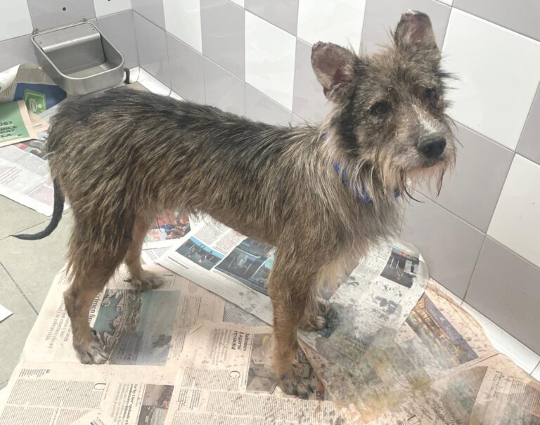 multimedia-foto89487-848-1