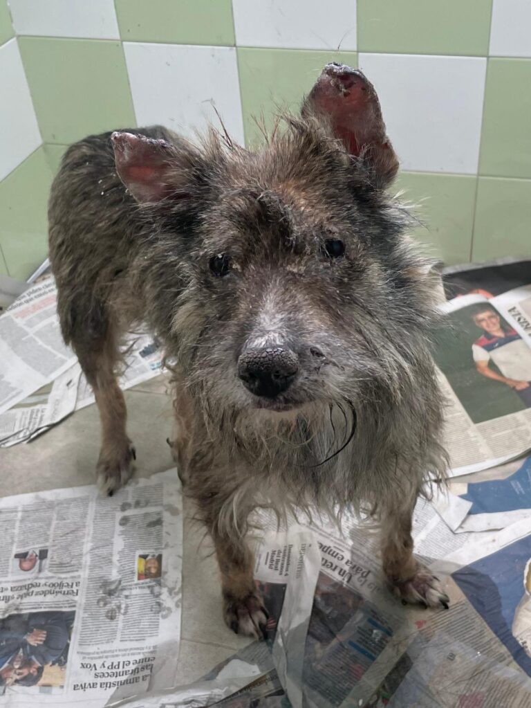 multimedia-foto89488-848-1