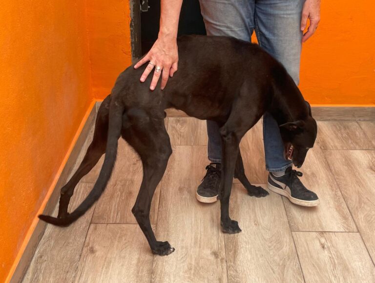 multimedia-foto89508-543-1