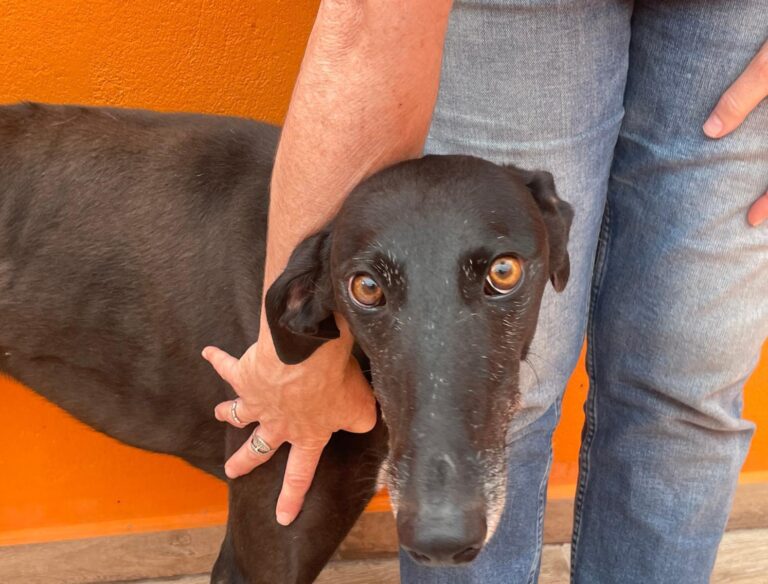 multimedia-foto89509-543-1