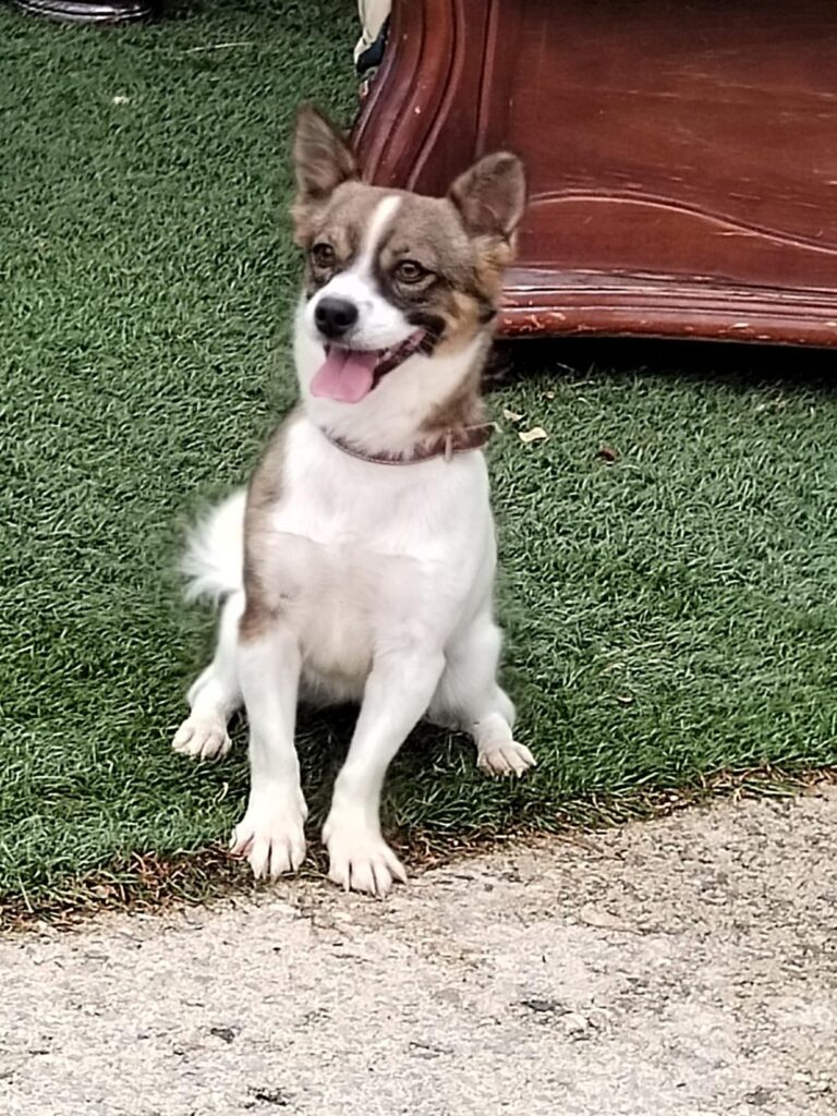 multimedia-foto89516-21-1