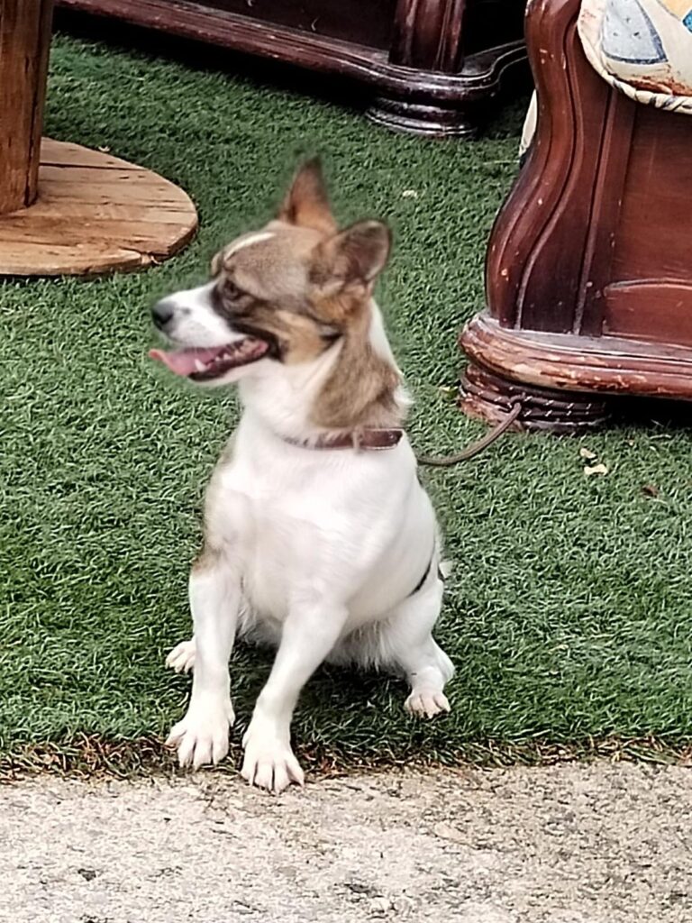 multimedia-foto89517-21-1