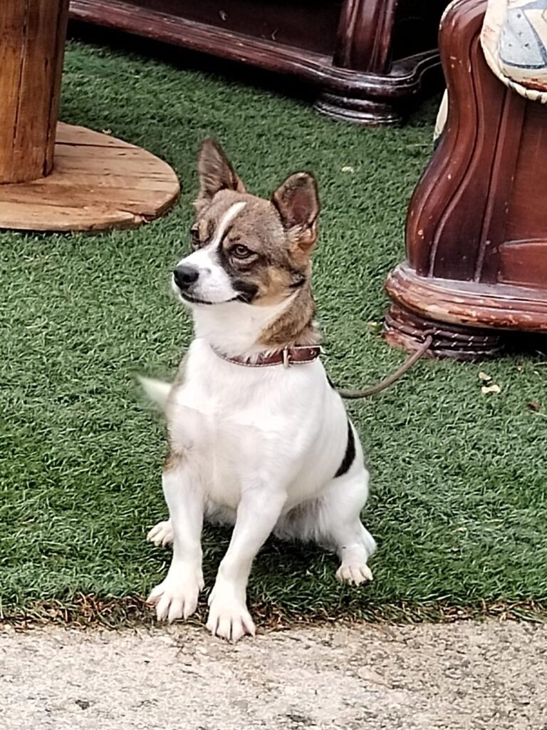 multimedia-foto89519-21-1