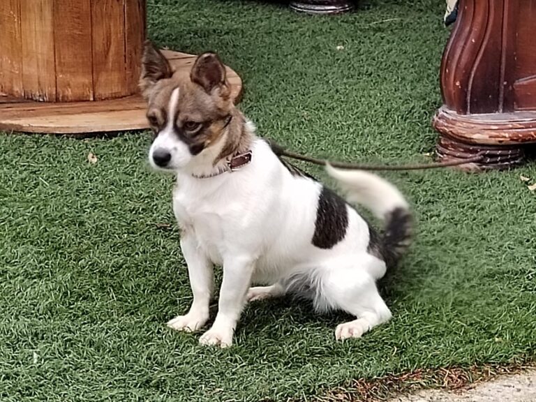 multimedia-foto89520-22-1