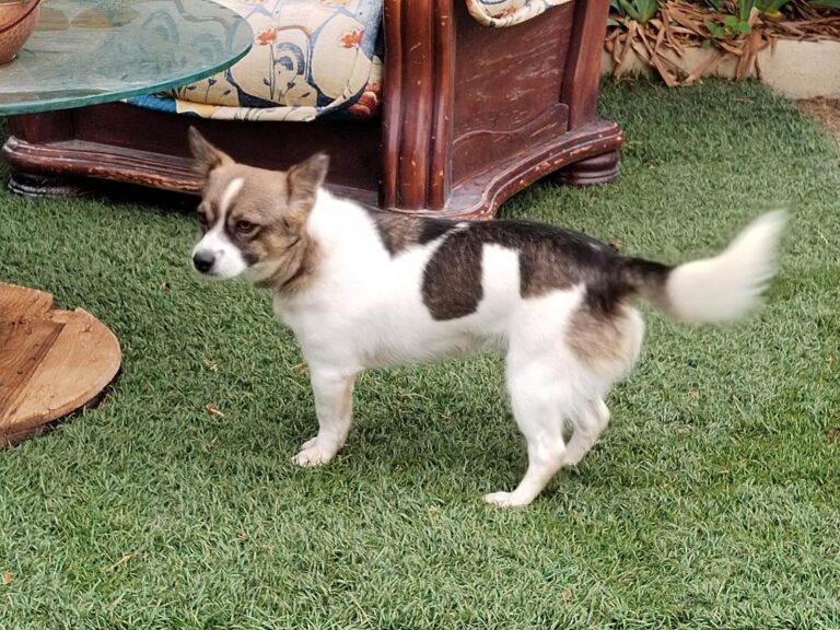 multimedia-foto89522-22-1