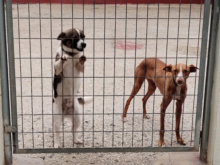 multimedia-foto89523-22-1