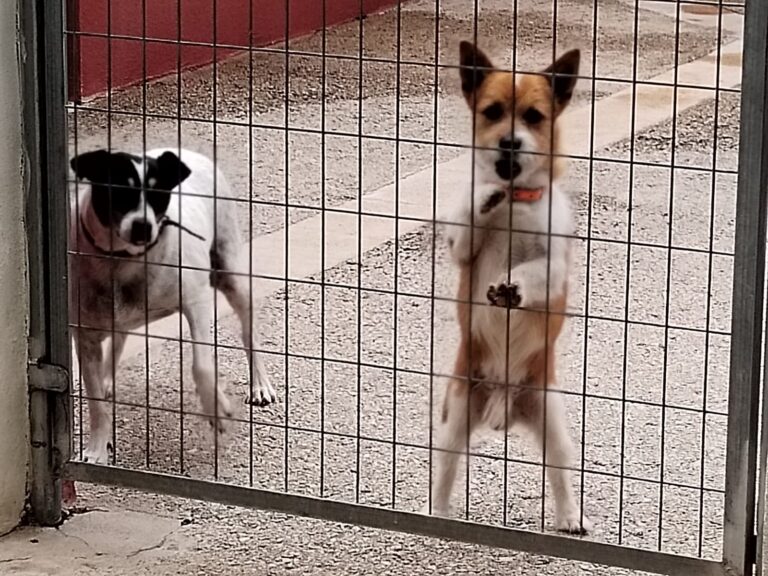 multimedia-foto89550-887-1