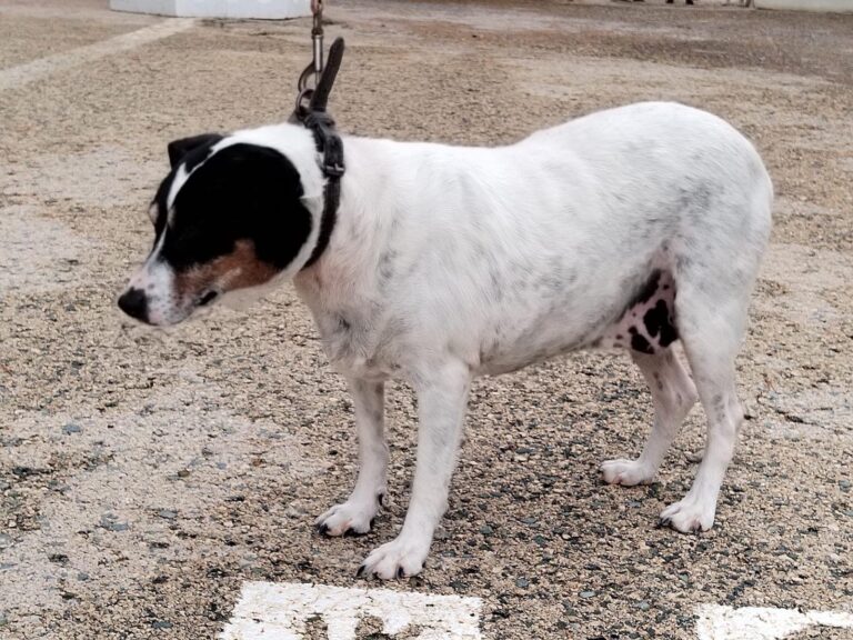 multimedia-foto89551-887-1