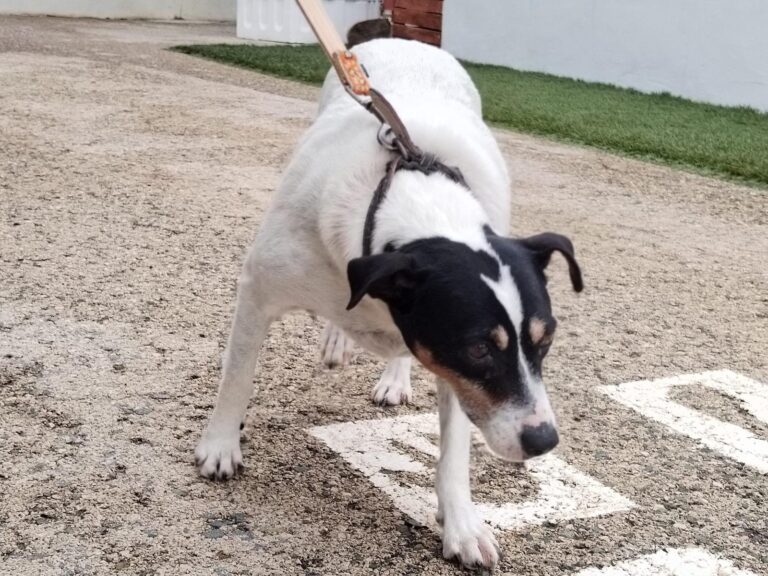 multimedia-foto89554-888-1